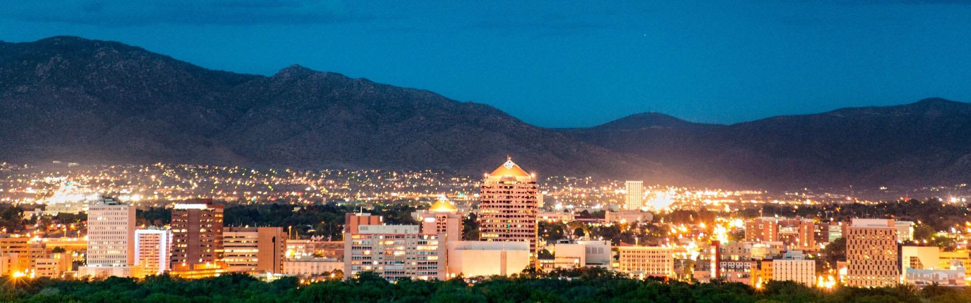 Neon color image of a band playing and people singing along